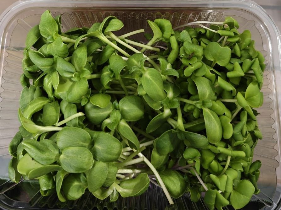 Fresh Vitality Duo Microgreens in packaging